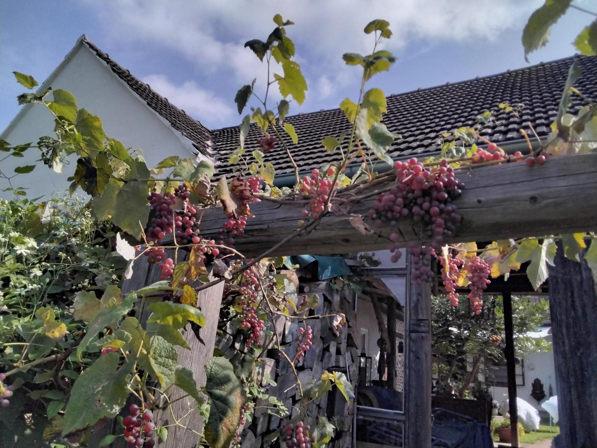 Gemuetlichkeit Am Vierkanthof - Apartment 1 Worterberg エクステリア 写真